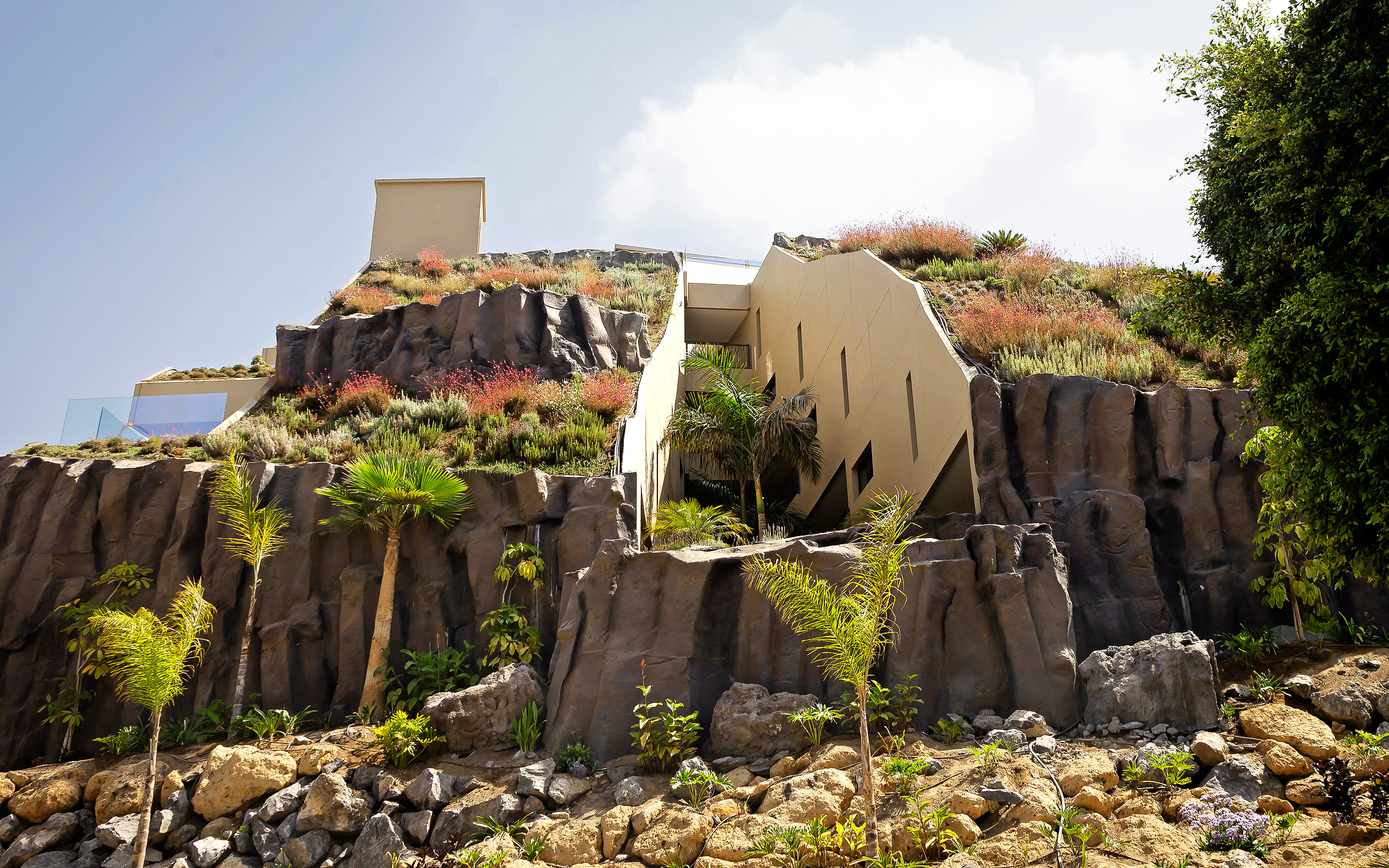 Steep pitched green roofs with shrubs, rocks and palm trees.